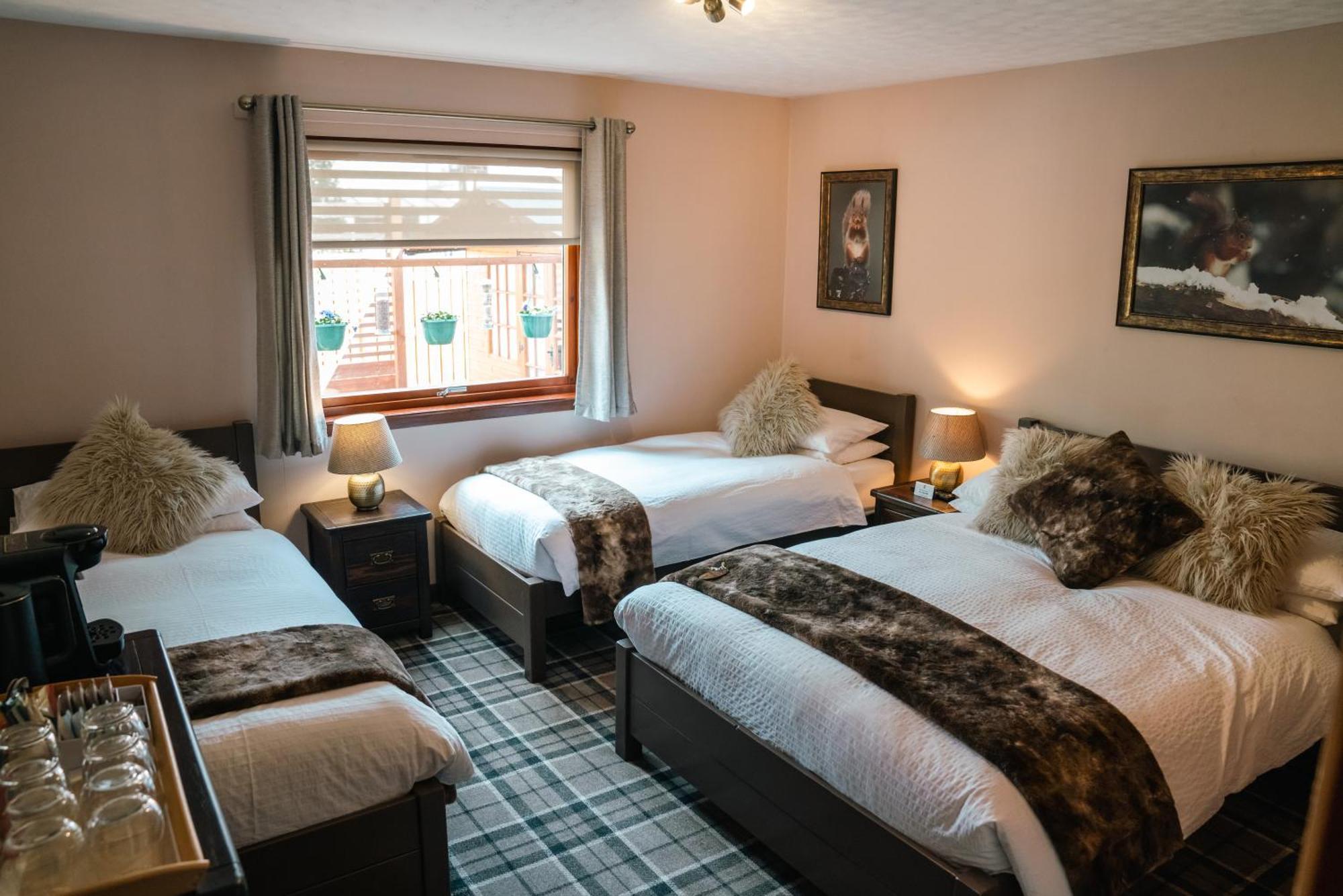 Eriskay B&B And Aviemore Glamping Eksteriør billede