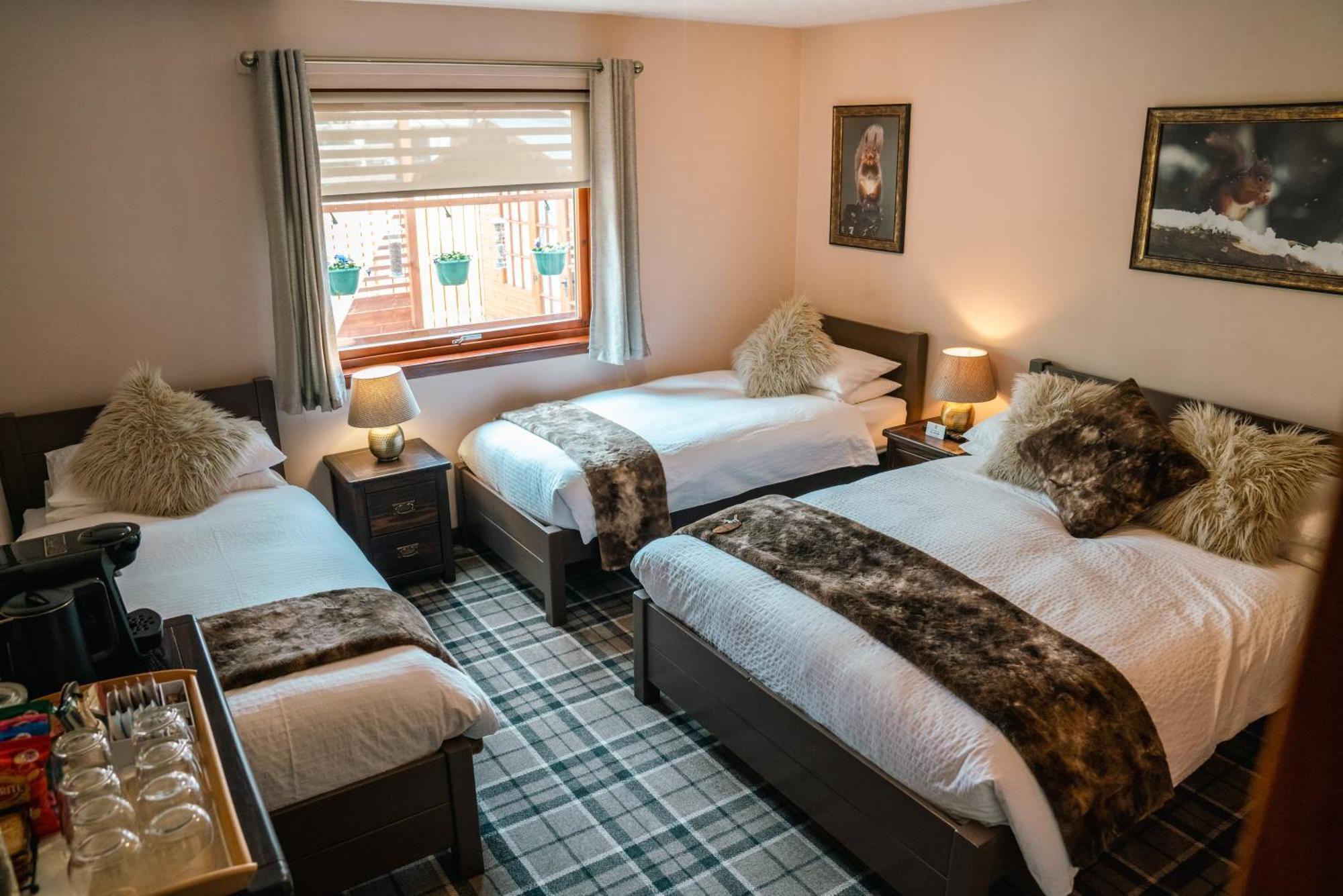 Eriskay B&B And Aviemore Glamping Eksteriør billede